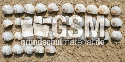 Schneckenhäuser-35.jpg